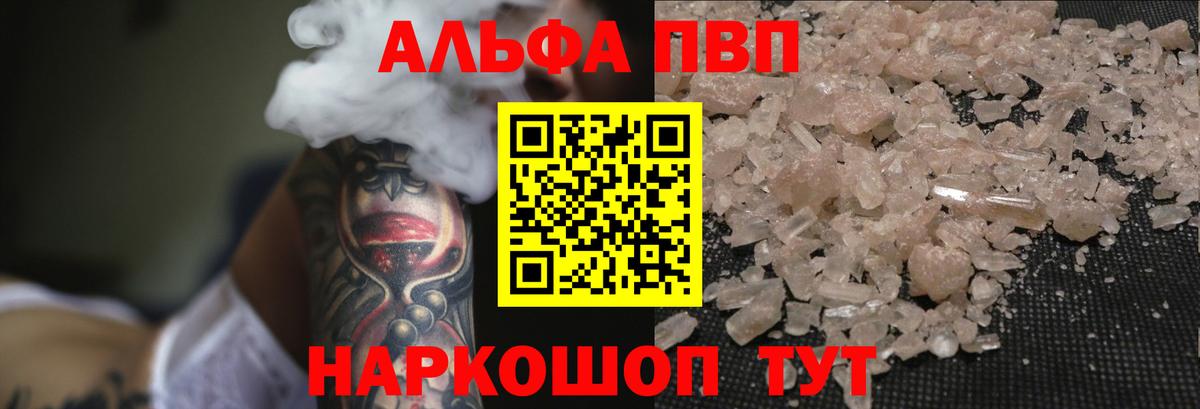 Альфа ПВП СК КРИС Малгобек