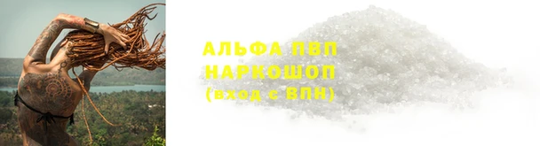 твердый Чегем