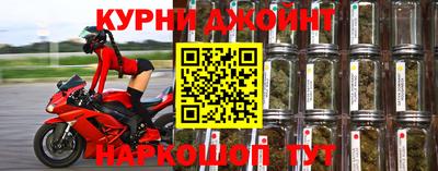 шишки Ирбит