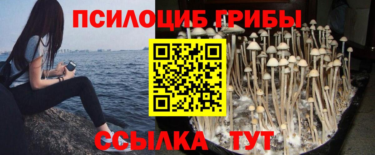 Малгобек  Галлюциногенные грибы мухоморы  Вход с VPN 