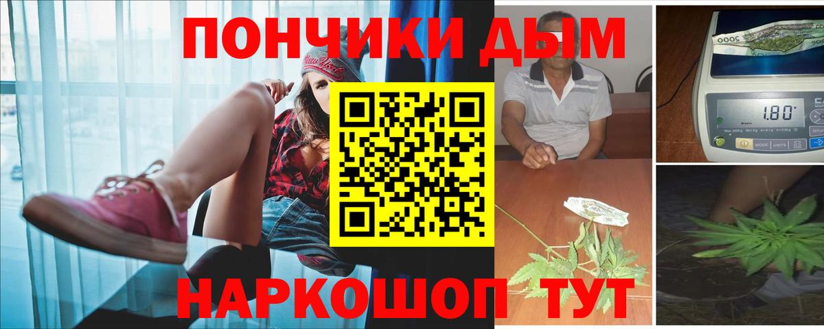 Бошки марихуана Amnesia Малгобек